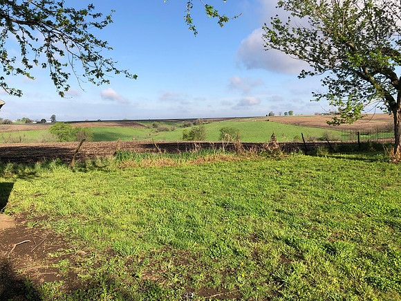West orchard fence looking west