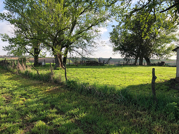 West orchard fence looking northeast