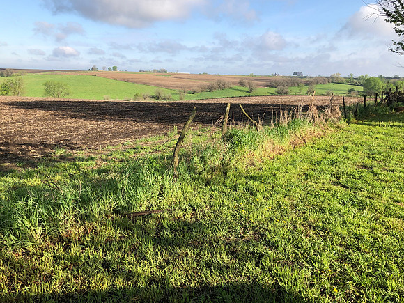 West orchard fence looking northwest