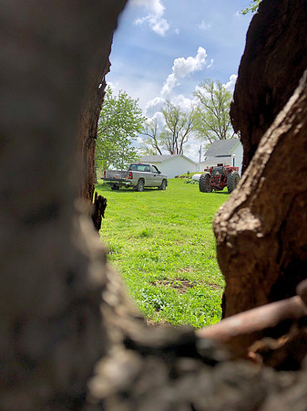 Pickup and tractor through tree