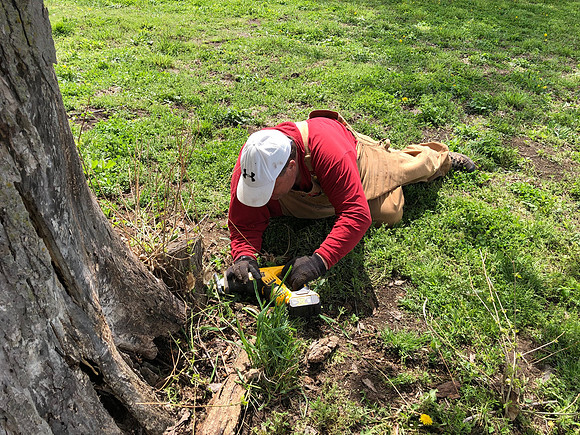 Randy removing another stump