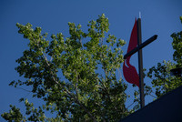 Normandale Hylands UMC
